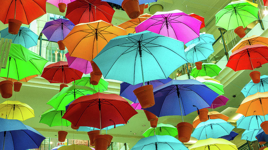 Colorful Umbrellas in Melbourne, Australia Photograph by David Morehead