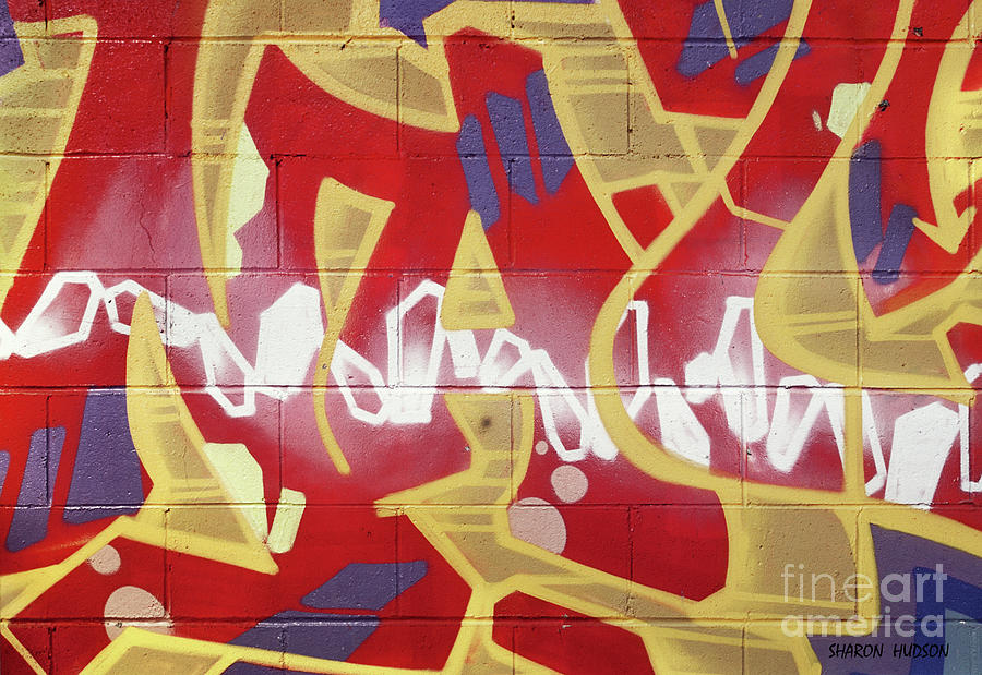 colorful urban graffiti - Painted Bricks Photograph by Sharon Hudson