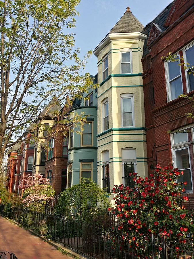 Colorful Washington, DC row houses in the Shaw Neighborhood Photograph