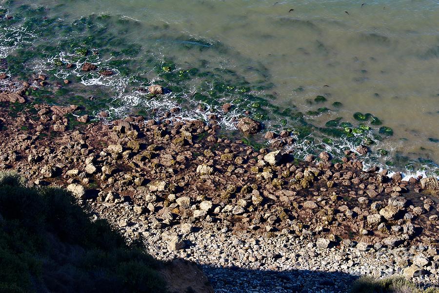 Colorful Water, Algae and Rocks Photograph by Katherine Erickson