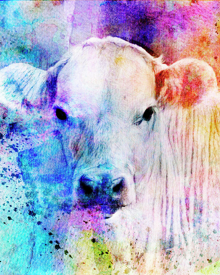 Colorful Watercolor Cow Portrait Mixed Media
