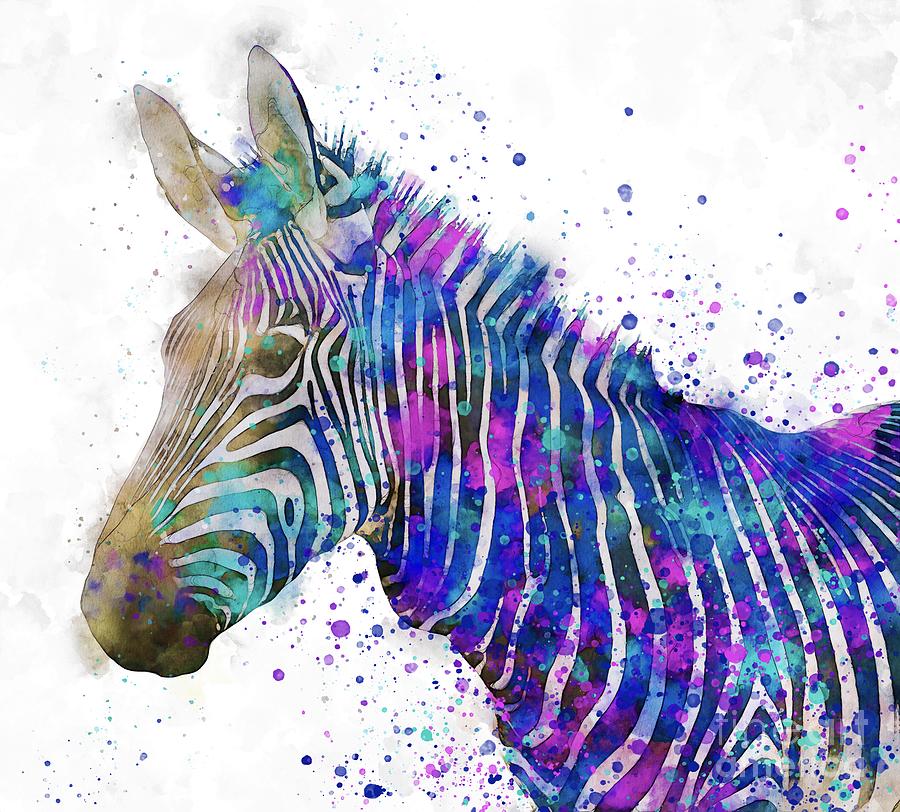 Colorful watercolor zebra Painting by Alexandra Arts