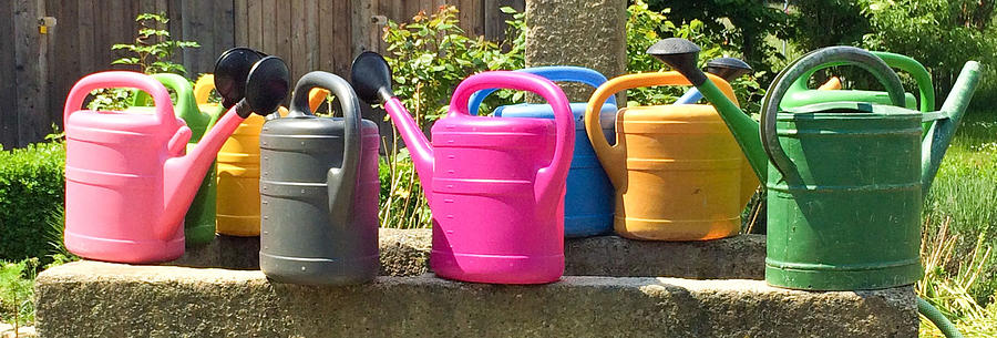 Colorful Watering Cans Photograph by Anjes