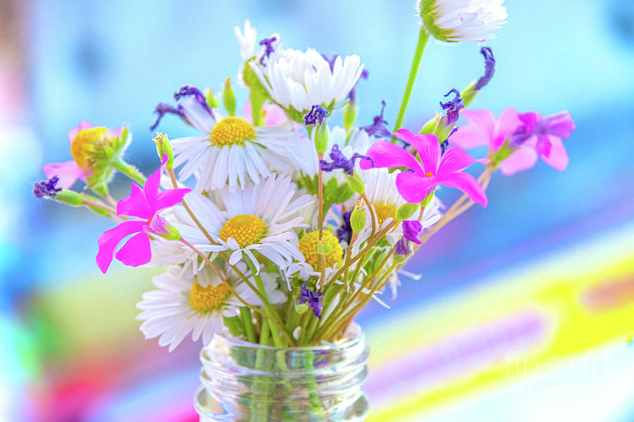 Colorful Wildflowers Background Bottle Vivid Bright Light Daisy  Photograph by Luca Lorenzelli
