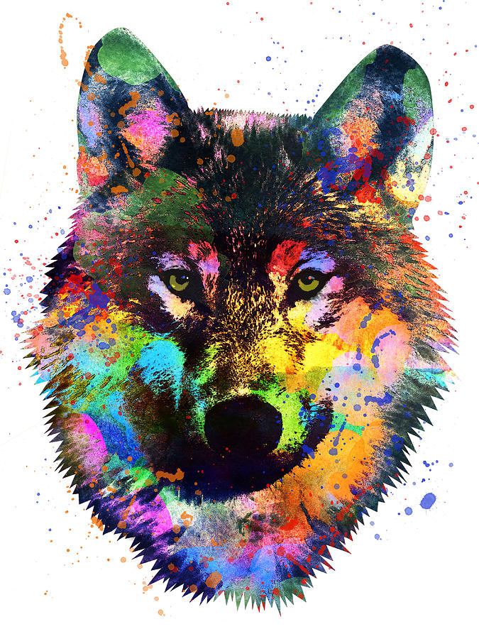 Colorful wolf watercolor Digital Art by Mihaela Pater | Fine Art America