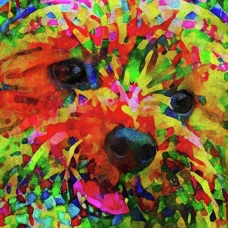 Colorful Yorkie Dog Abstract Art Digital Art by Peggy Collins
