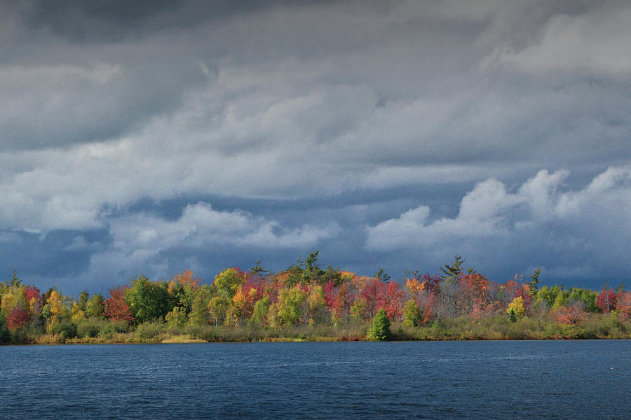 Colorfull Shore of a West Michigan Lake during Autumn  Photograph by Randall Nyhof
