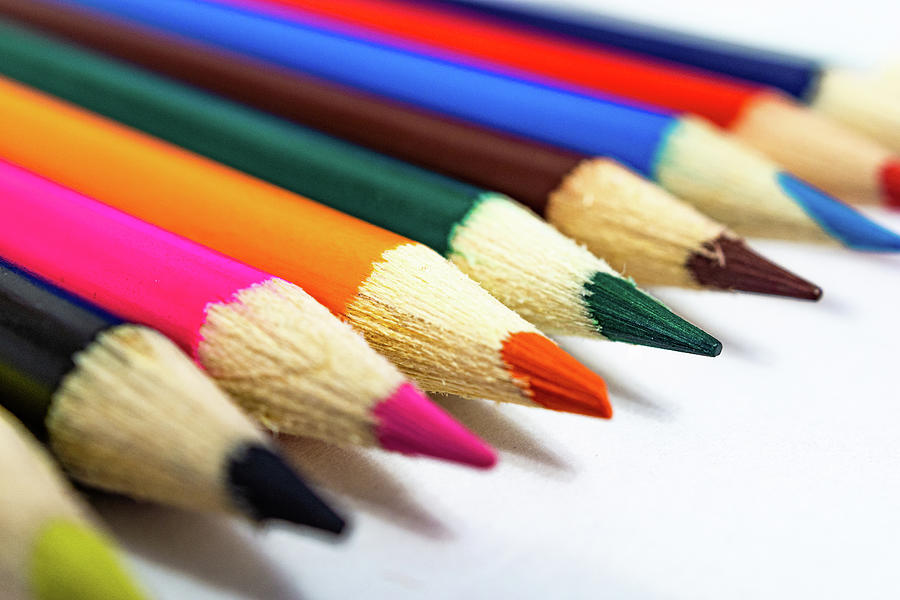 Colorin pencils Photograph by Francisco Ruiz Navas