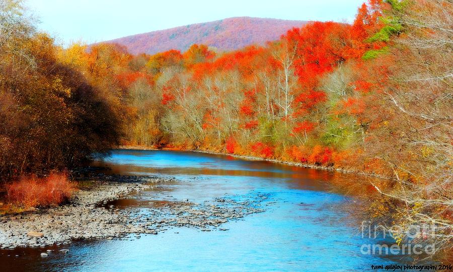 Fall Photograph - Coloring The Kittatinny by Tami Quigley