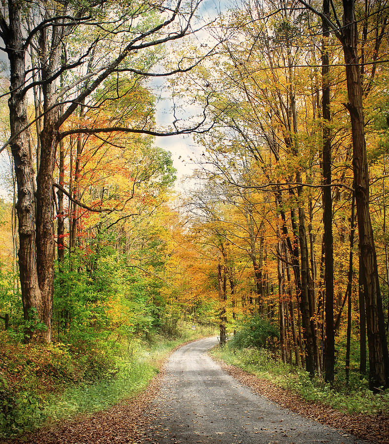 Colors Abound in Fall Photograph by Michael Forte - Fine Art America