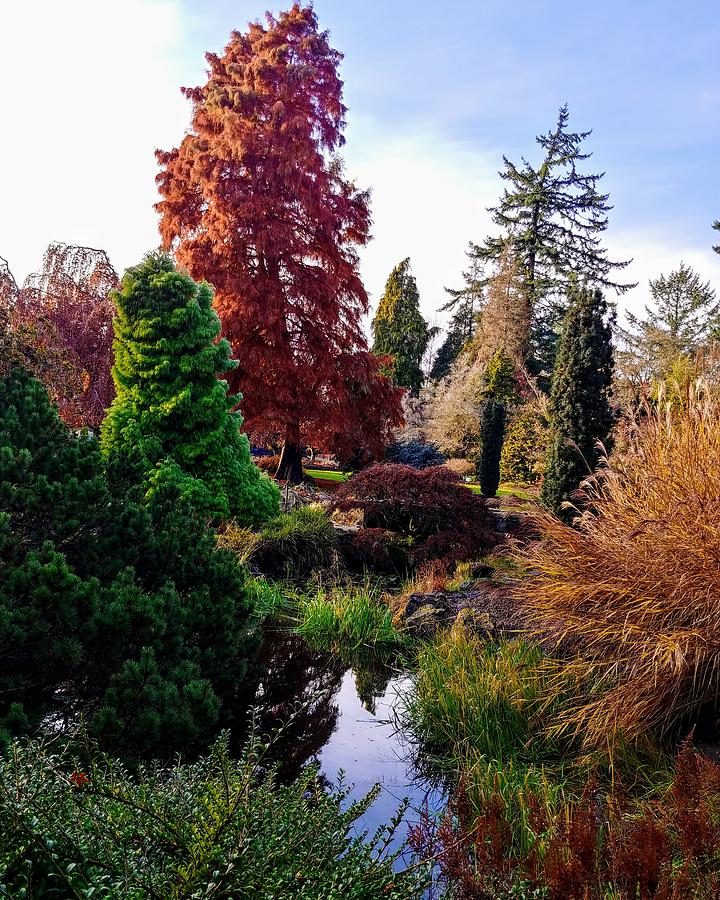 Landscape Photograph - Colors In The Park by Darrell MacIver Landscape Photograph - Colors In The Park by Darrell MacIver