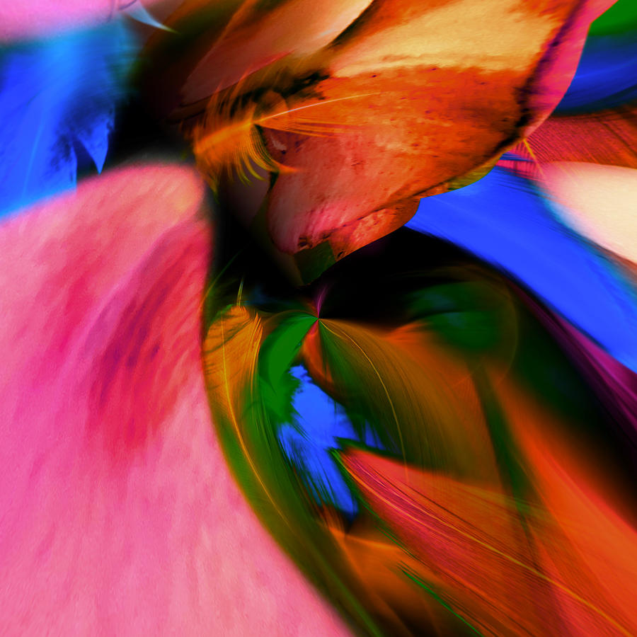 Colors N Flight Digital Art by Gayle Price Thomas