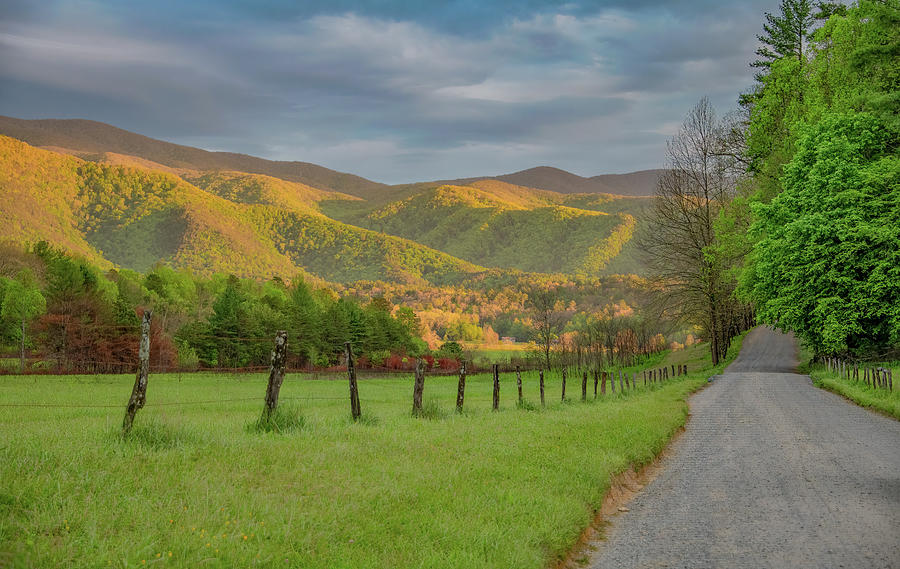 Colors of a Cades Cove Spring Photograph by Marcy Wielfaert