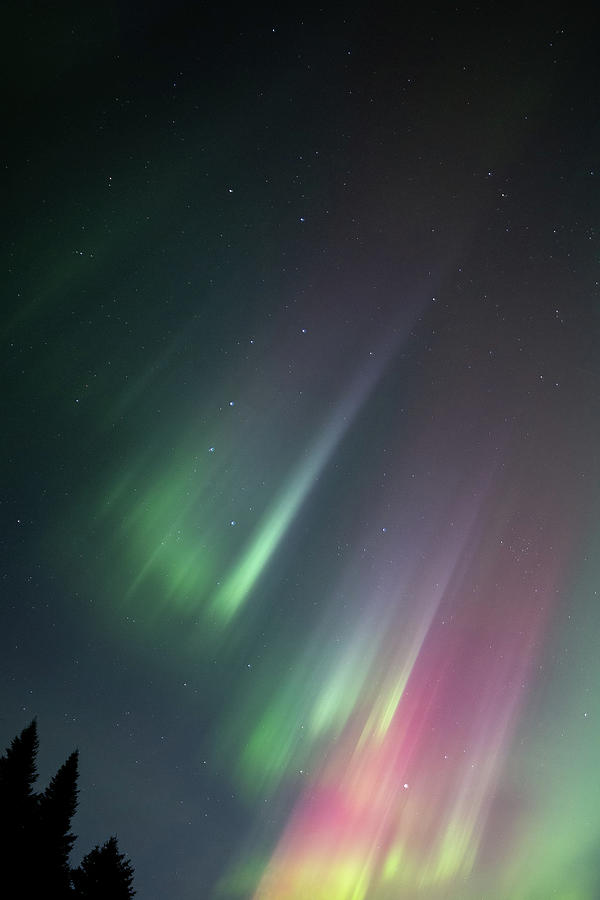 Colors of Aurora Photograph by Penny Meyers
