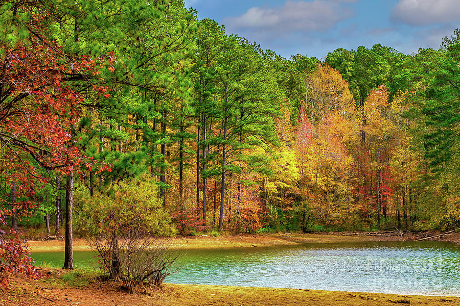 Colors of Autumn Photograph by Nick Zelinsky Jr