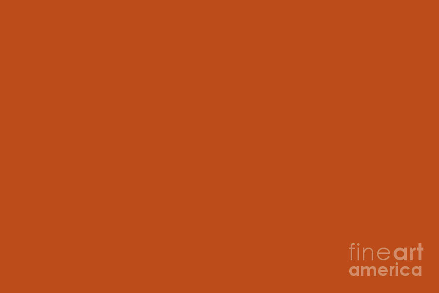 Colors of Autumn Terracotta Orange Brown Solid Color Digital Art by PIPA  Fine Art - Simply Solid - Pixels