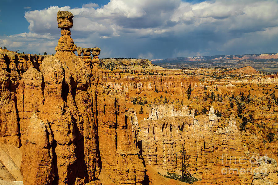 Colors of Bryce Canyon Photograph by Erin Marie Davis