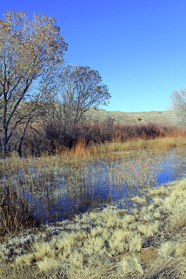 Colors Of Cornerstone Marsh Photograph by Jennifer Robin