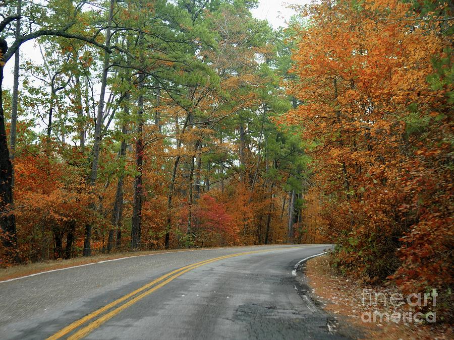 Colors of Fall Photograph by On da Raks
