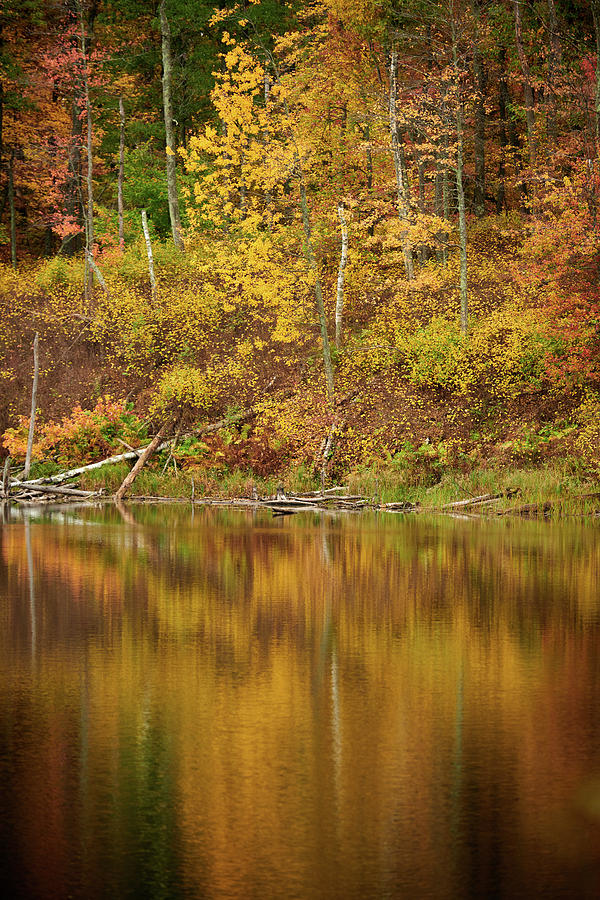 Colors Of Fall Photograph by Paul Freidlund