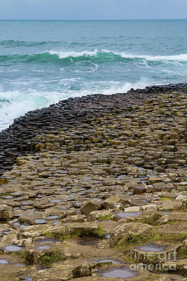 Colors of Giants Causeway Northern Ireland Photograph by Nancy Gleason