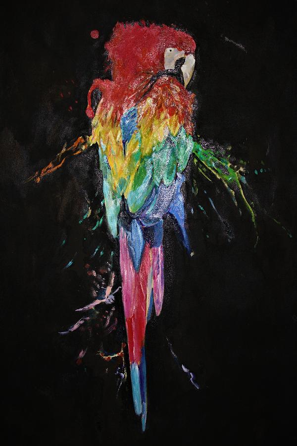 Colors of Macaw Painting by Khalid Saeed