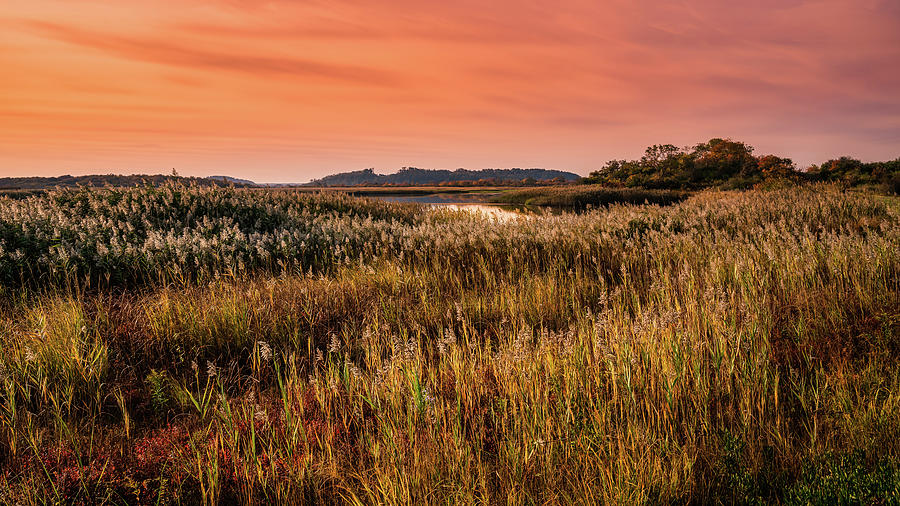 Colors of Nature 1 Photograph by Michael Hubley