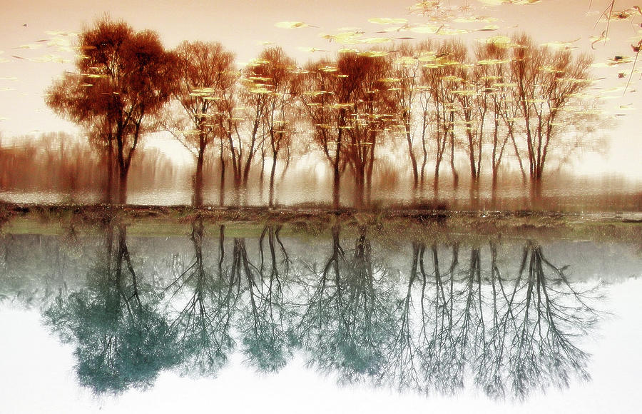 Colors Of Reflections Digital Art by Edward Galagan