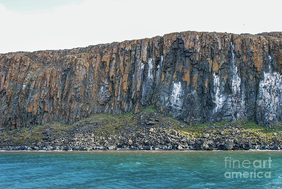 Colors of the Bird Cliffs in Svalbard Photograph by Nancy Gleason