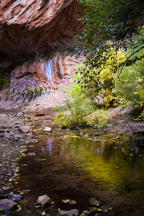 Colors Of The Canyon Photograph