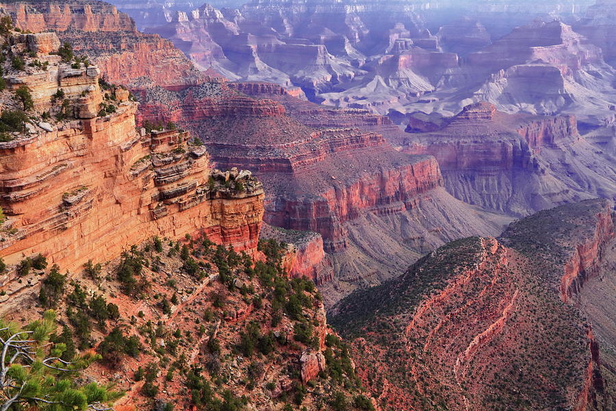 Colors of the Grand Canyon Photograph by Roupen Baker
