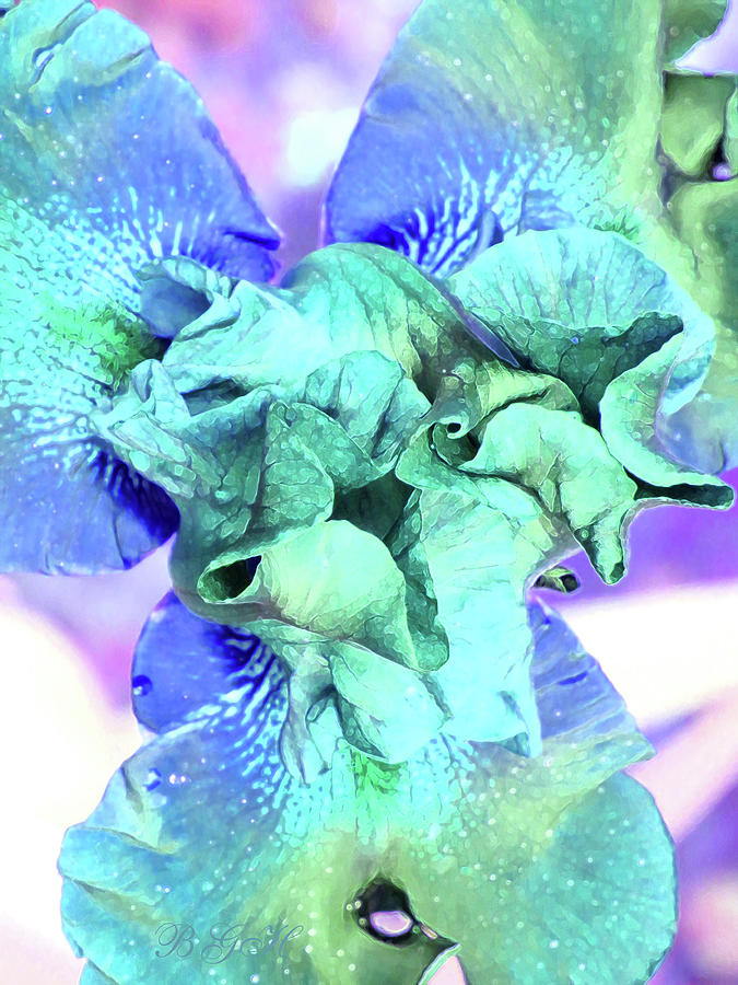 Colors of the Sea Iris - Floral Photographic Art - Spring Flowers - Irises Photograph by Brooks Garten Hauschild
