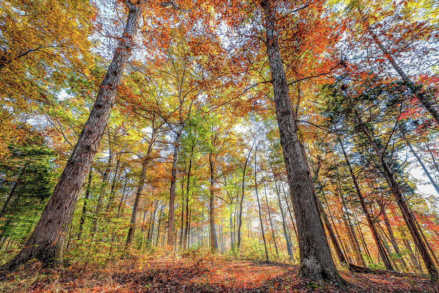 Colors of the Season Photograph by Eric Glaser