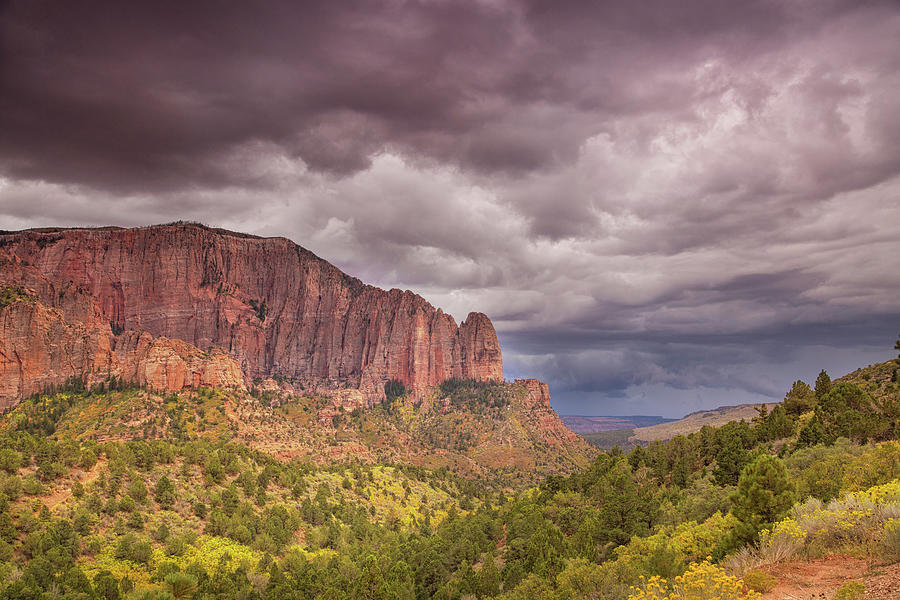 Colors of Zion in autumn Photograph by Kunal Mehra