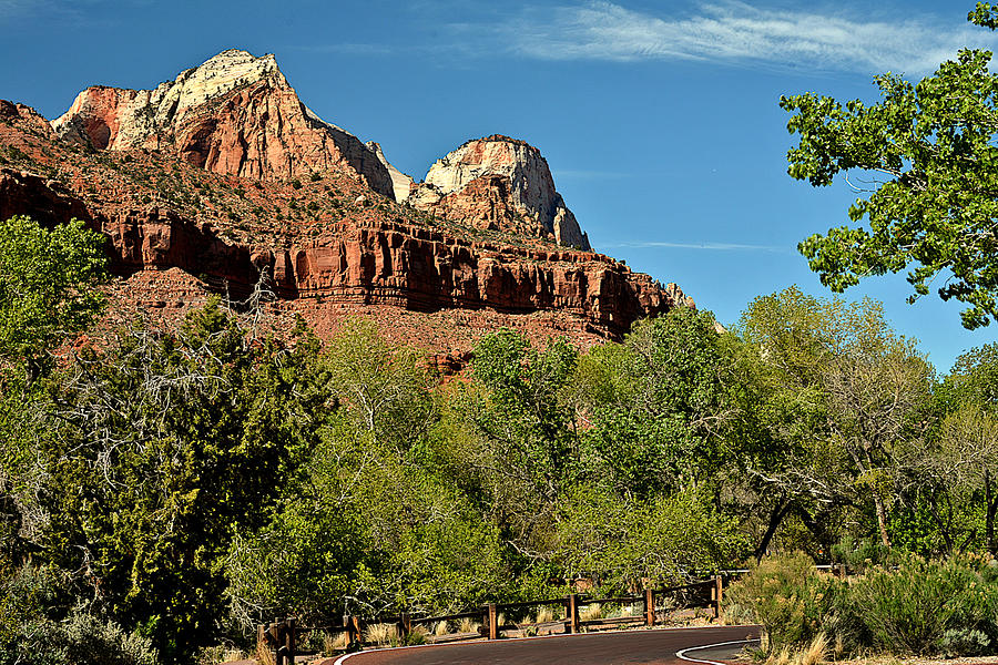 Colors of Zion Photograph by Stephen Path - Fine Art America