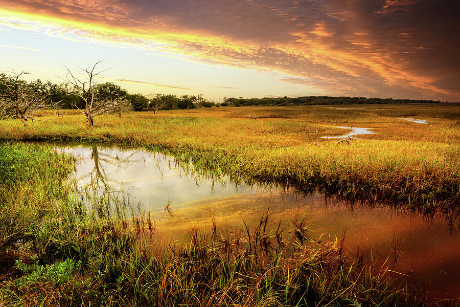 Colors over the Marsh Photograph by Debra and Dave Vanderlaan