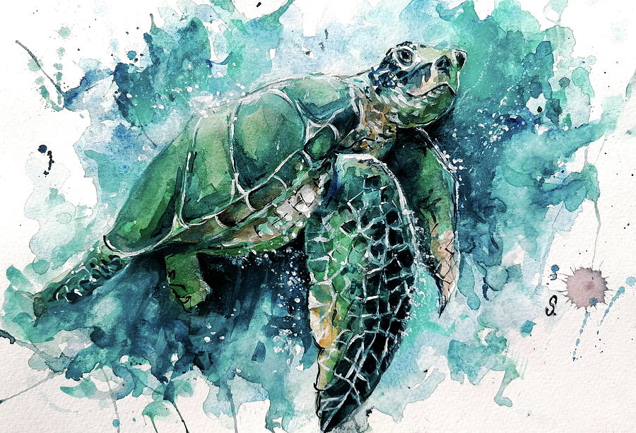 Colors under the water / Turtule Watercolor Painting/ Painting by Stanila  Ivanova - Fine Art America