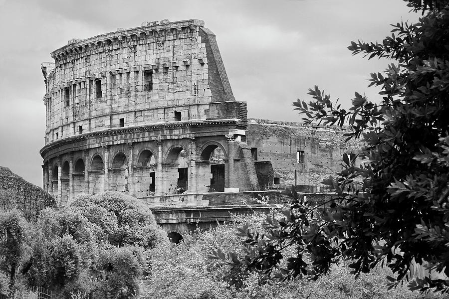 Black And White Photograph - Colosseum by Lewardeen
