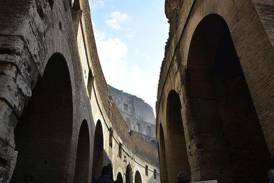 Colosseum of Rome Photograph by Regina Muscarella