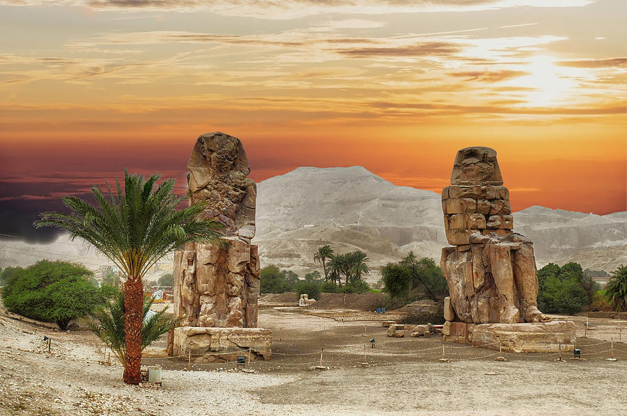 Colossus of Memnon sits in a field  Photograph by Steve Estvanik