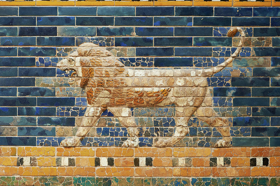 Coloured glazed brick panels of Lions - 604-562 BC.Babylon - Pergamon ...