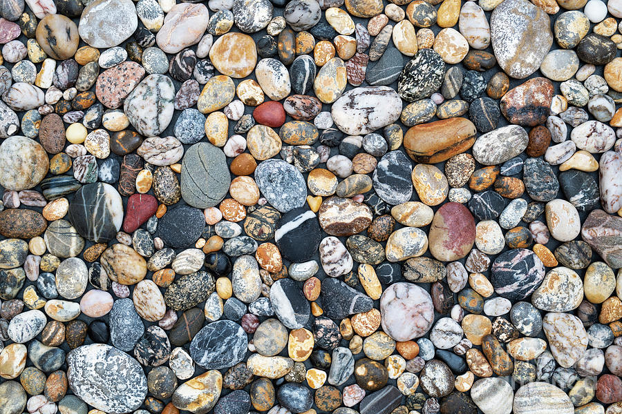Pebbles Photograph - Coloured Pebbles Pattern by Tim Gainey