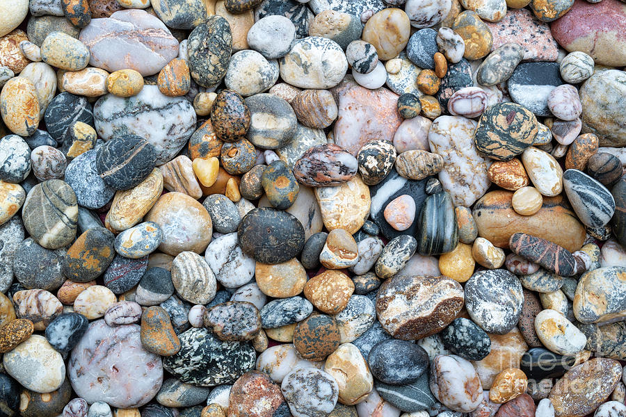 Pebbles Photograph - Coloured Pebbles by Tim Gainey