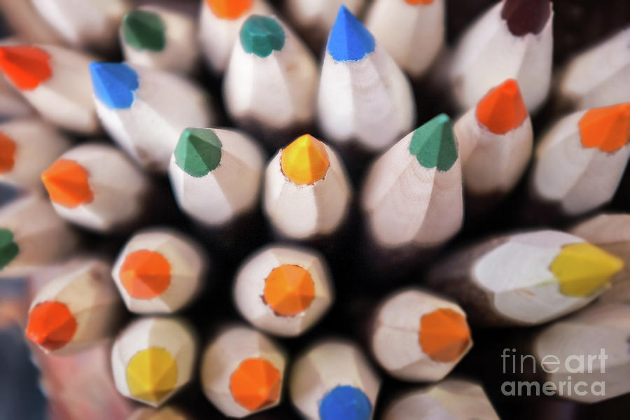 Abstract Photograph - Coloured pencils by Jane Rix