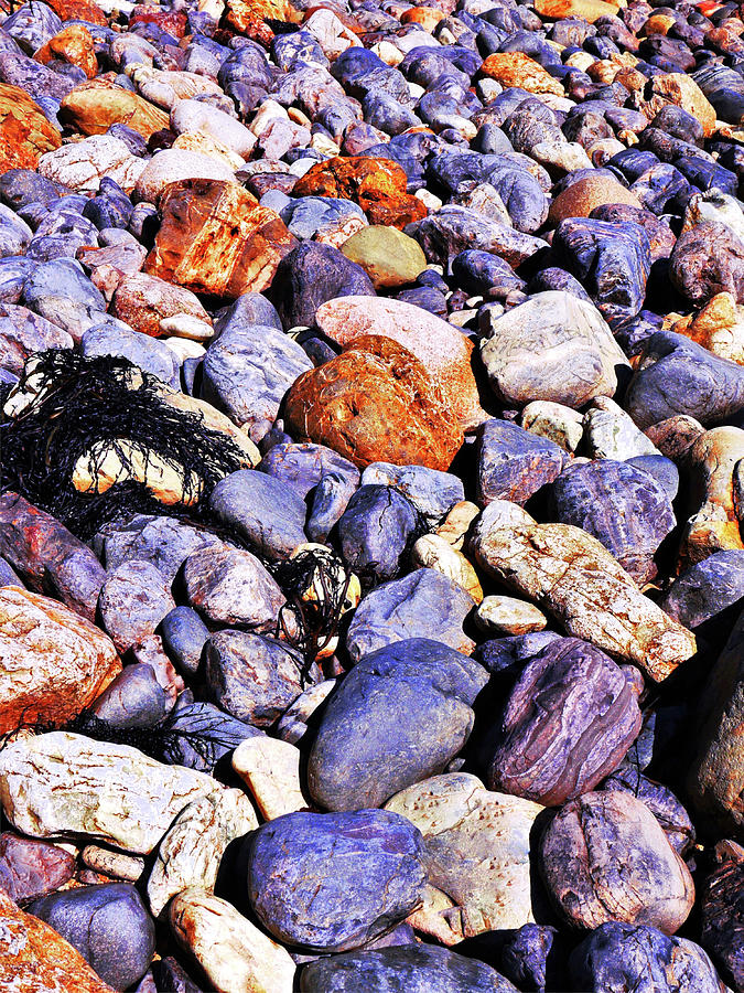 Coloured Rocks of Trial Harbour #2 Photograph by Lexa Harpell