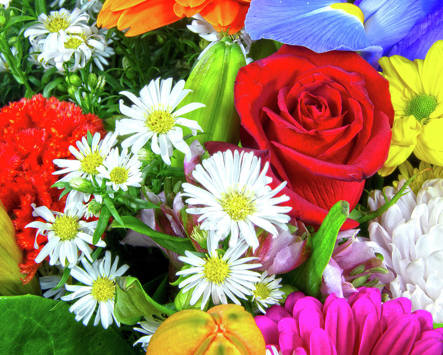 Colourful bunch of mixed flowers closeup. Photograph by Geoff Childs
