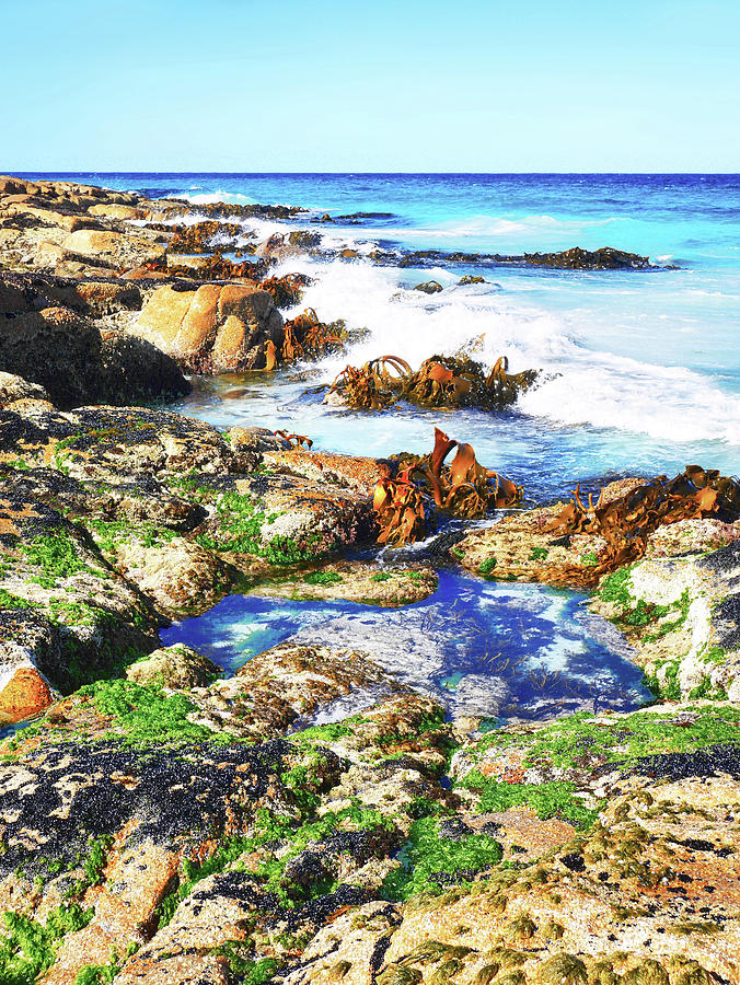 Colourful Coastline - Tasmania Photograph by Lexa Harpell