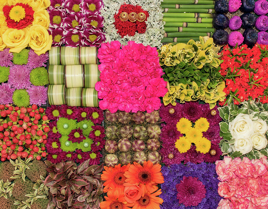 Colourful Flower Collage Photograph by Roy Pedersen