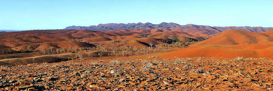 Colourful folds of the Flinders Ranges Photograph by Lexa Harpell