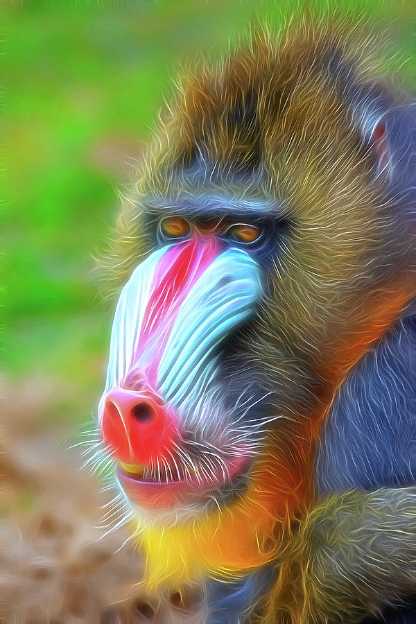 Colourful Mandrill portrait in Digital art style Photograph by Gareth Parkes
